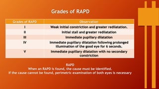 Grades of RAPD
Grades of RAPD Observation
I Weak initial constriction and greater redilatation.
II Initial stall and greater redilatation
III Immediate pupillary dilatation
IV Immediate pupillary dilatation following prolonged
illumination of the good eye for 6 seconds.
V Immediate pupillary dilatation with no secondary
constriction
RAPD
When an RAPD is found, the cause must be identified.
If the cause cannot be found, perimetric examination of both eyes is necessary
 