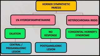 HORNER SYMPATHETIC
PARESIS
1% HYDROXYAMPHETAMINE HETEROCHROMIA IRIDIS
CONGENITAL HORNER’S
SYNDROME
NO
RESPONSE
DILATION
POSTGANGLIONIC
LESION
CENTRAL /
PREGANGLIONIC
LESION
 