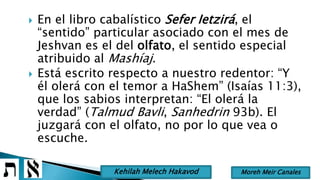  En el libro cabalístico Sefer Ietzirá, el
“sentido” particular asociado con el mes de
Jeshvan es el del olfato, el sentido especial
atribuido al Mashíaj.
 Está escrito respecto a nuestro redentor: “Y
él olerá con el temor a HaShem” (Isaías 11:3),
que los sabios interpretan: “El olerá la
verdad” (Talmud Bavli, Sanhedrin 93b). El
juzgará con el olfato, no por lo que vea o
escuche.
Moreh Meir CanalesKehilah Melech Hakavod
 