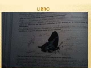 LIBRO