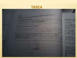 TAREA