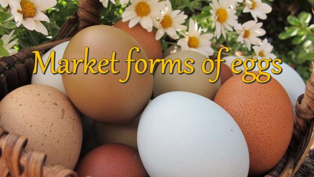 market forms of egg | PPT