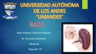 Jesly Vanessa Chamorro Nazate
Segundo “A”
Dr. Armando Quintana
Medicina
 