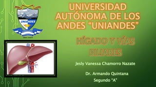 Jesly Vanessa Chamorro Nazate
Segundo “A”
Dr. Armando Quintana
 