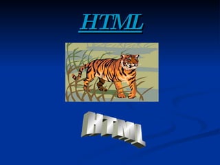 HTML HTML 
