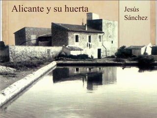 Alicante y su huerta Jesús Sánchez 