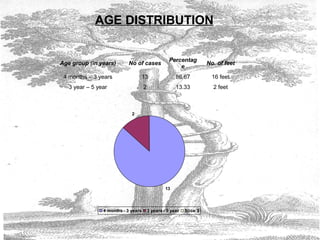 AGE DISTRIBUTION
Age group (in years) No of cases
Percentag
e
No. of feet
4 months – 3 years 13 86.67 16 feet
3 year – 5 year 2 13.33 2 feet
13
2
4 months - 3 years 3 years - 5 year Slice 3
 