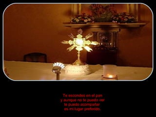 Te escondes en el pan y aunque no te puedo ver te puedo acompañar  es mi lugar preferido. 