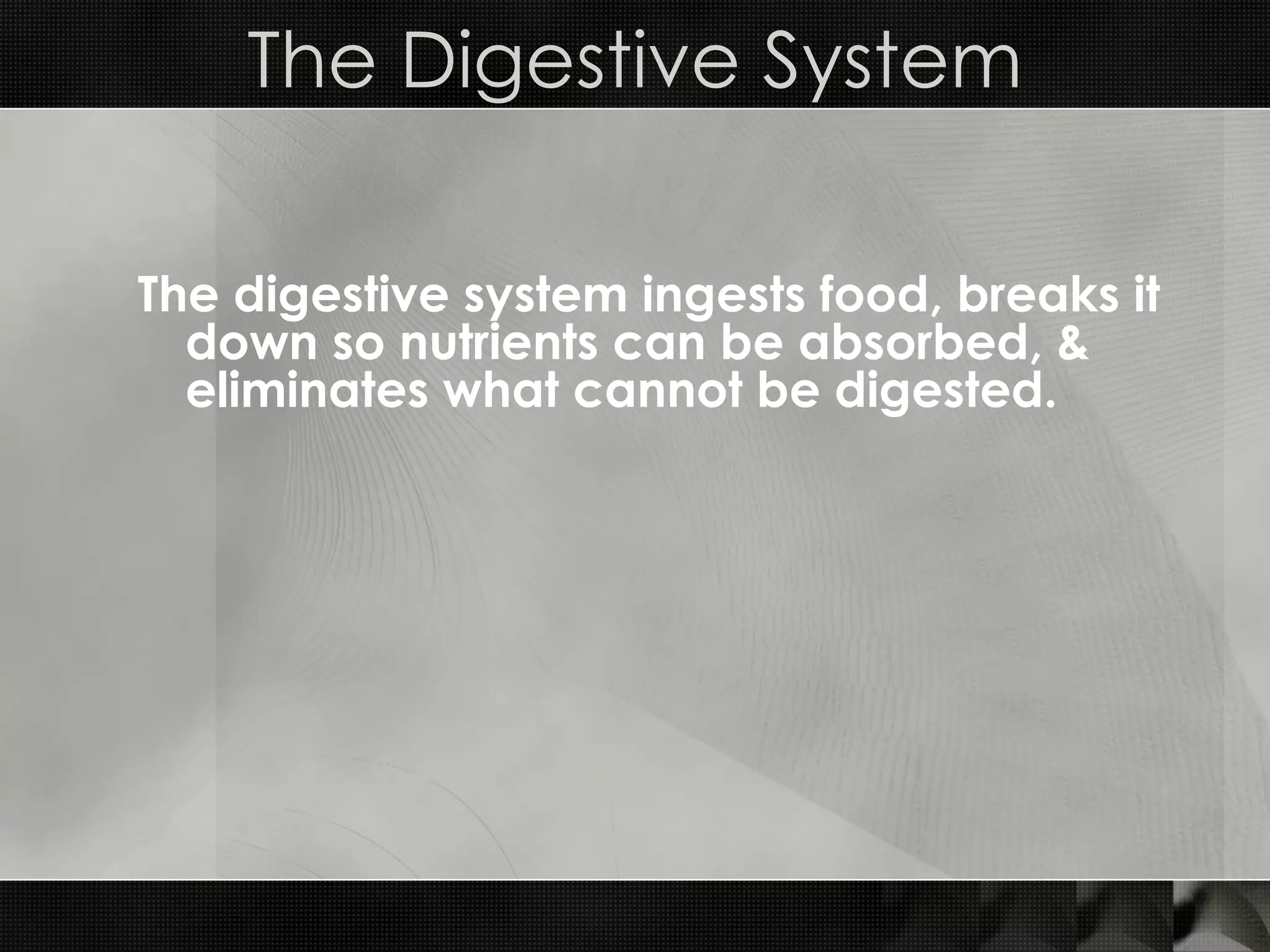 The digestive system ingests food, breaks it down so nutrients can be absorbed, & eliminates what cannot be digested.  The Digestive System 
