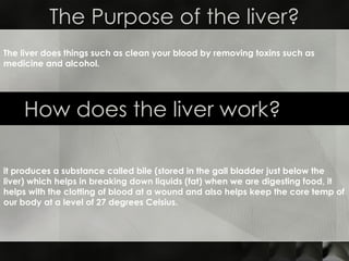 The Purpose of the liver? How does the liver work? it produces a substance called bile (stored in the gall bladder just below the liver) which helps in breaking down liquids (fat) when we are digesting food, it helps with the clotting of blood at a wound and also helps keep the core temp of our body at a level of 27 degrees Celsius. The liver does things such as clean your blood by removing toxins such as medicine and alcohol. 