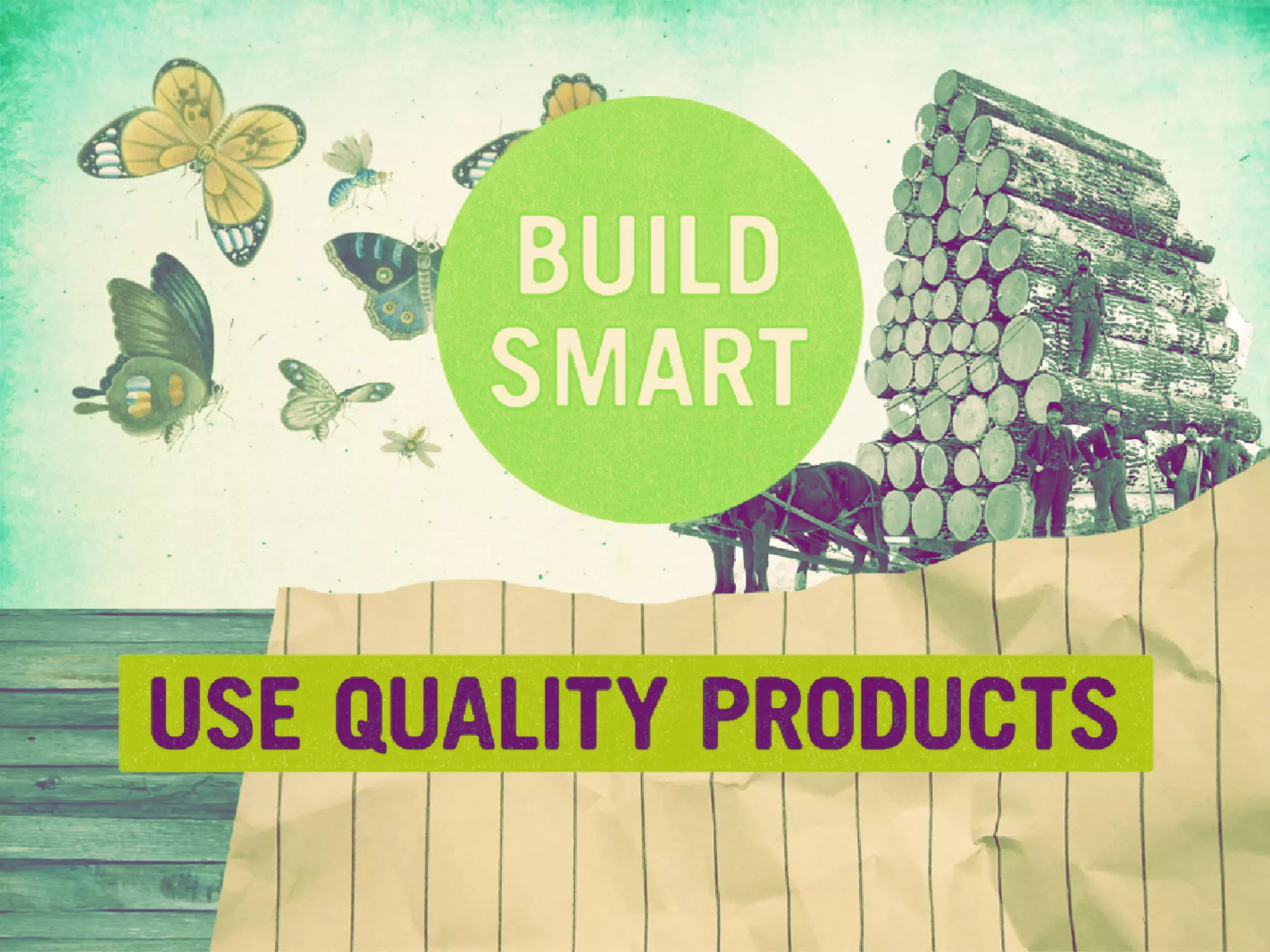 The World of Social Objects