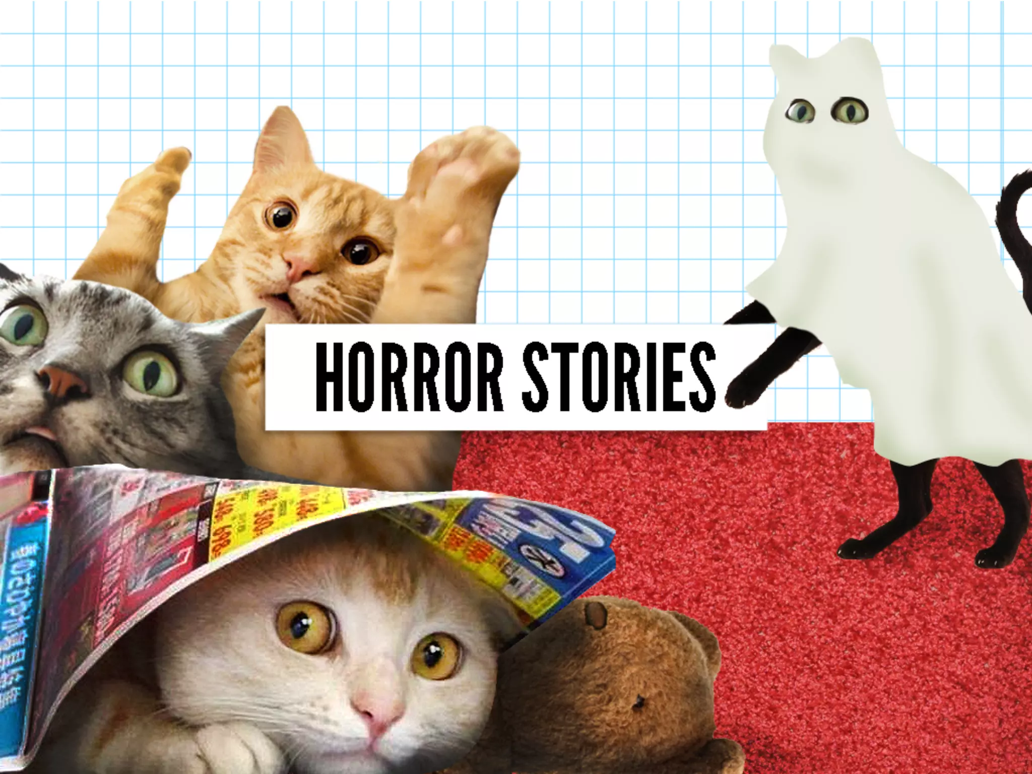 How to Manage Your Infographic Clients