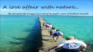 The rich marine life of Sagay City is one of the people’s source of livelihood and pride.
 