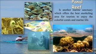 Is another marine sanctuary
which offers the best snorkeling
area for tourists to enjoy the
colorful corals and marine life.
 