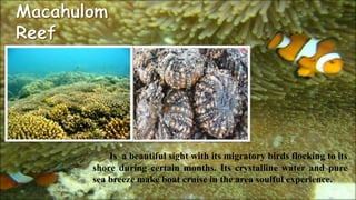 Is a beautiful sight with its migratory birds flocking to its
shore during certain months. Its crystalline water and pure
sea breeze make boat cruise in the area soulful experience.
 