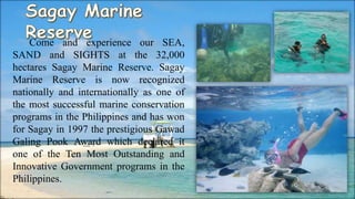 Come and experience our SEA,
SAND and SIGHTS at the 32,000
hectares Sagay Marine Reserve. Sagay
Marine Reserve is now recognized
nationally and internationally as one of
the most successful marine conservation
programs in the Philippines and has won
for Sagay in 1997 the prestigious Gawad
Galing Pook Award which declared it
one of the Ten Most Outstanding and
Innovative Government programs in the
Philippines.
 