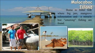 Home to fisher folk
where big jars, mangrove
reforestation and a miracle
hoe “amatong” fishing are
found.
 