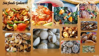 Sea foods Galore!!!
 