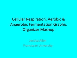 Cellular Respiration: Aerobic & Anaerobic Fermentation Graphic Organizer Mashup Jessica Allen Franciscan University 