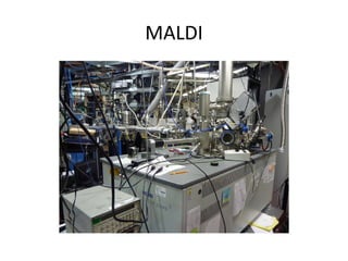 MALDI 