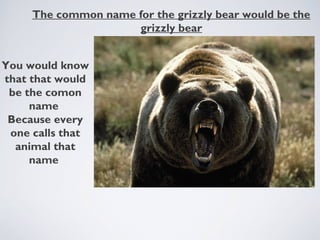 The common name for the grizzly bear would be the
grizzly bear
You would know
that that would
be the comon
name
Because every
one calls that
animal that
name

 