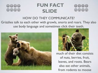 ����
����

FUN FACT
SLIDE

����
����

HOW DO THEY COMMUNICATE?
Grizzlies talk to each other with growls, snorts and roars. They also
use body language and sometimes click their teeth.

much of their diet consists
of nuts, berries, fruit,
leaves, and roots. Bears
also eat other animals,
from rodents to moose

 