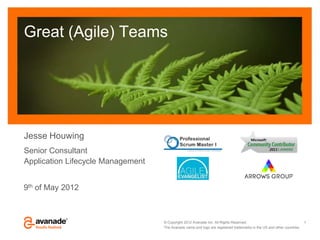 Great (Agile) Teams




Jesse Houwing
Senior Consultant
Application Lifecycle Management


9th of May 2012



                                   © Copyright 2012 Avanade Inc. All Rights Reserved.                                   1
                                   The Avanade name and logo are registered trademarks in the US and other countries.
 