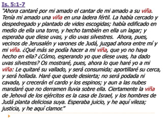 Is. 5:1-7
“Ahora cantaré por mi amado el cantar de mi amado a su viña.
Tenía mi amado una viña en una ladera fértil. La había cercado y
despedregado y plantado de vides escogidas; había edificado en
medio de ella una torre, y hecho también en ella un lagar; y
esperaba que diese uvas, y dio uvas silvestres. Ahora, pues,
vecinos de Jerusalén y varones de Judá, juzgad ahora entre mí y
mi viña. ¿Qué más se podía hacer a mi viña, que yo no haya
hecho en ella? ¿Cómo, esperando yo que diese uvas, ha dado
uvas silvestres? Os mostraré, pues, ahora lo que haré yo a mi
viña: Le quitaré su vallado, y será consumida; aportillaré su cerca,
y será hollada. Haré que quede desierta; no será podada ni
cavada, y crecerán el cardo y los espinos; y aun a las nubes
mandaré que no derramen lluvia sobre ella. Ciertamente la viña
de Jehová de los ejércitos es la casa de Israel, y los hombres de
Judá planta deliciosa suya. Esperaba juicio, y he aquí vileza;
justicia, y he aquí clamor.”
 
