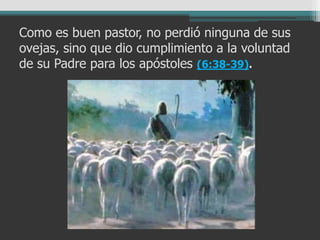 Como es buen pastor, no perdió ninguna de sus
ovejas, sino que dio cumplimiento a la voluntad
de su Padre para los apóstoles (6:38-39).
 