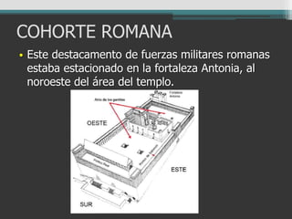 COHORTE ROMANA
• Este destacamento de fuerzas militares romanas
estaba estacionado en la fortaleza Antonia, al
noroeste del área del templo.
 