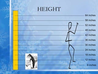 HEIGHT 6 inches 12 inches 18 inches 24 inches 30 inches 36 inches 42 inches 48 inches 52 inches 58 inches 64 inches