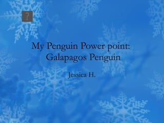 My Penguin Power point:   Galapagos  Penguin Jessica H. 