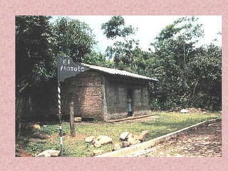 Jessica del carmen rivas ortiz