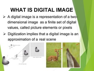  Digitization implies that a digital image is an
approximation of a real scene
WHAT IS DIGITAL IMAGE
 A digital image is a representation of a two-
dimensional image as a finite set of digital
values, called picture elements or pixels
 