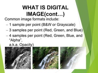 WHAT IS DIGITAL
IMAGE(cont…)
Common image formats include:
– 1 sample per point (B&W or Grayscale)
– 3 samples per point (Red, Green, and Blue)
– 4 samples per point (Red, Green, Blue, and
“Alpha”,
a.k.a. Opacity)
 