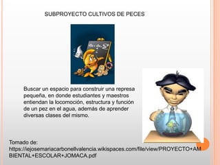 SUBPROYECTO CULTIVOS DE PECES
Buscar un espacio para construir una represa
pequeña, en donde estudiantes y maestros
entiendan la locomoción, estructura y función
de un pez en el agua, además de aprender
diversas clases del mismo.
Tomado de:
https://iejosemariacarbonellvalencia.wikispaces.com/file/view/PROYECTO+AM
BIENTAL+ESCOLAR+JOMACA.pdf
 