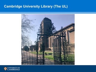 Always becoming: humility and hope through adaptive leadership | PDF