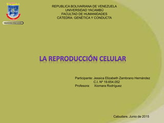REPUBLICA BOLIVARIANA DE VENEZUELA
UNIVERSIDAD YACAMBÚ
FACULTAD DE HUMANIDADES
CÁTEDRA: GENÉTICA Y CONDUCTA
Participante: Jessica Elizabeth Zambrano Hernández
C.I. Nº 19.654.052
Profesora: Xiomara Rodríguez
Cabudare, Junio de 2015
 