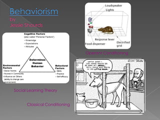 Operant Conditioning




Social Learning Theory


      Classical Conditioning
 