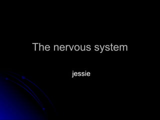 The nervous system jessie 