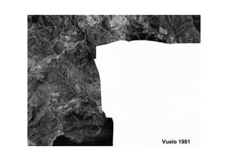 Vuelo 1981
 