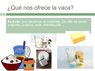 ¿Qué nos ofrece la vaca?
15



     La leche que sacamos al ordéñala. De ella se sacan
     yogures, quesos, nata, mantequilla…
 