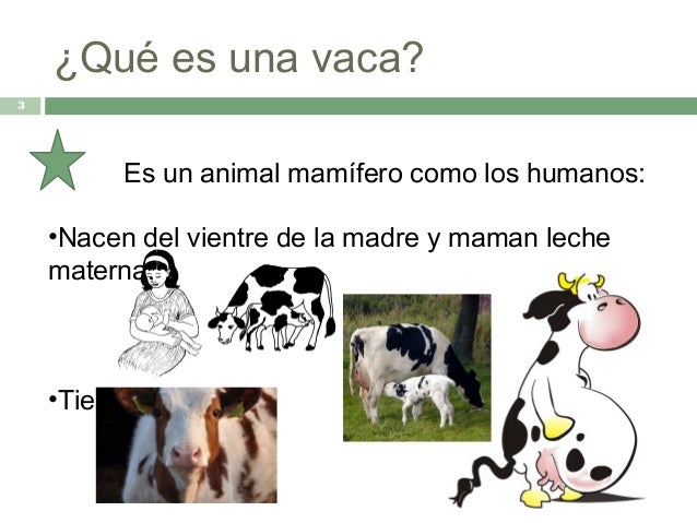 Como adelgazar por medio de los ejercicios en las estampas