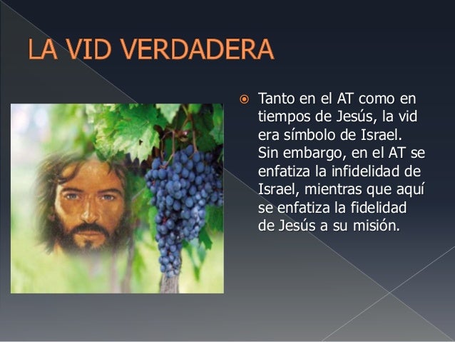 Resultado de imagen para el simbolo de la vid