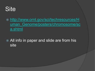 Sitehttp://www.ornl.gov/sci/techresources/Human_Genome/posters/chromosome/sca.shtmlAll info in paper and slide are from his site