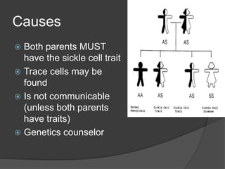 Causes Both parents MUST have the sickle cell traitTrace cells may be foundIs not communicable (unless both parents have traits)Genetics counselor 