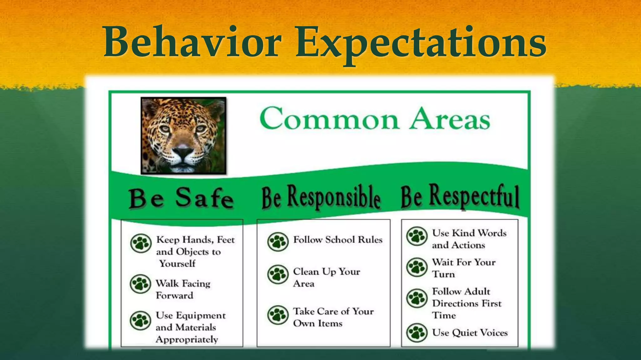Behavior Expectations
 