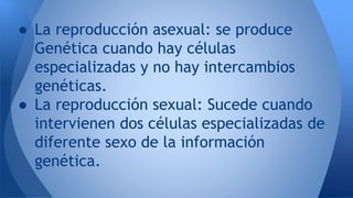 ● La reproducción asexual: se produce 
Genética cuando hay células 
especializadas y no hay intercambios 
genéticas. 
● La...