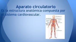 Aparato circulatorio 
Es la estructura anatómica compuesta por 
el sistema cardiovascular. 
 