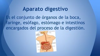 Aparato digestivo 
Es el conjunto de órganos de la boca, 
faringe, esófago, estómago e intestinos 
encargados del proceso ...